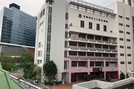 聖士提反書院 資訊日