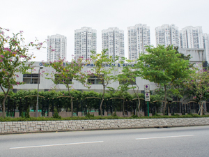 激活幼稚園
