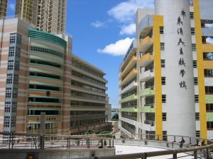 東涌天主教學校